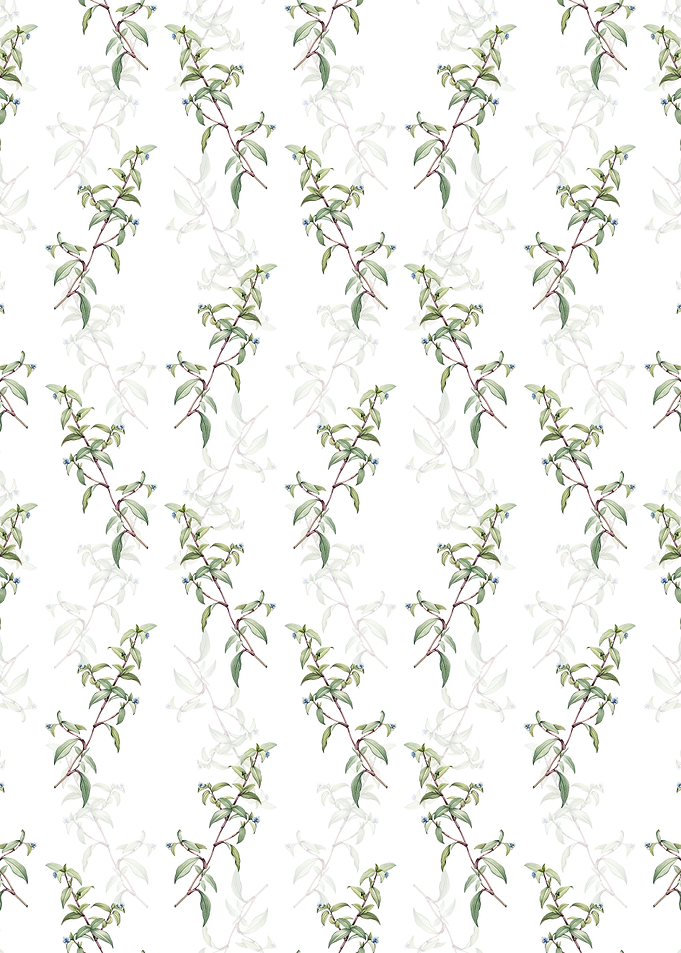 Birdbill Dayflower Pattern