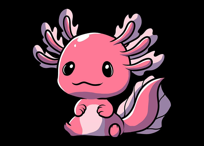 Axolotl Salamander