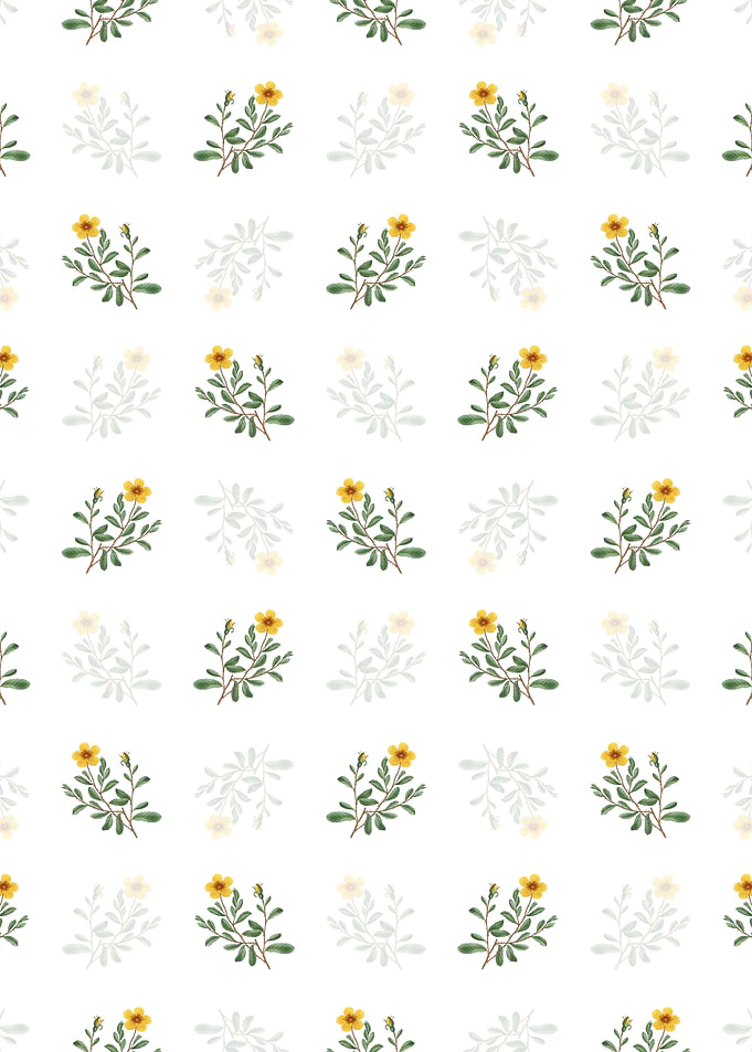 Sweetbriar Rose Pattern