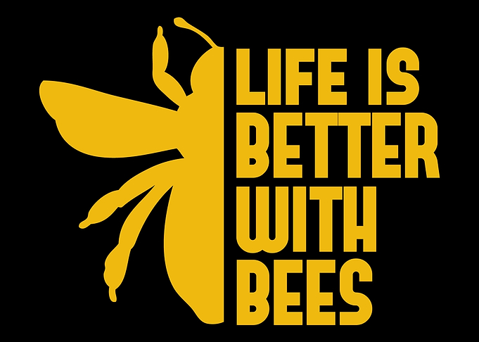 Beekeeper Honeycomb