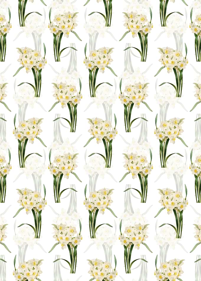 Bunch Flowered Daffodil