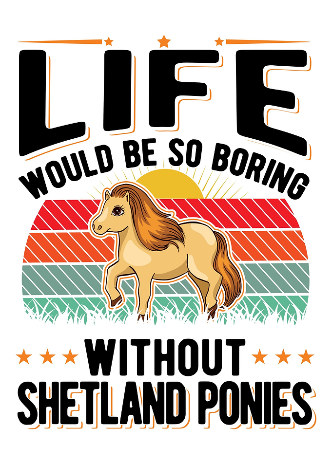 Shetland Pony Shetty
