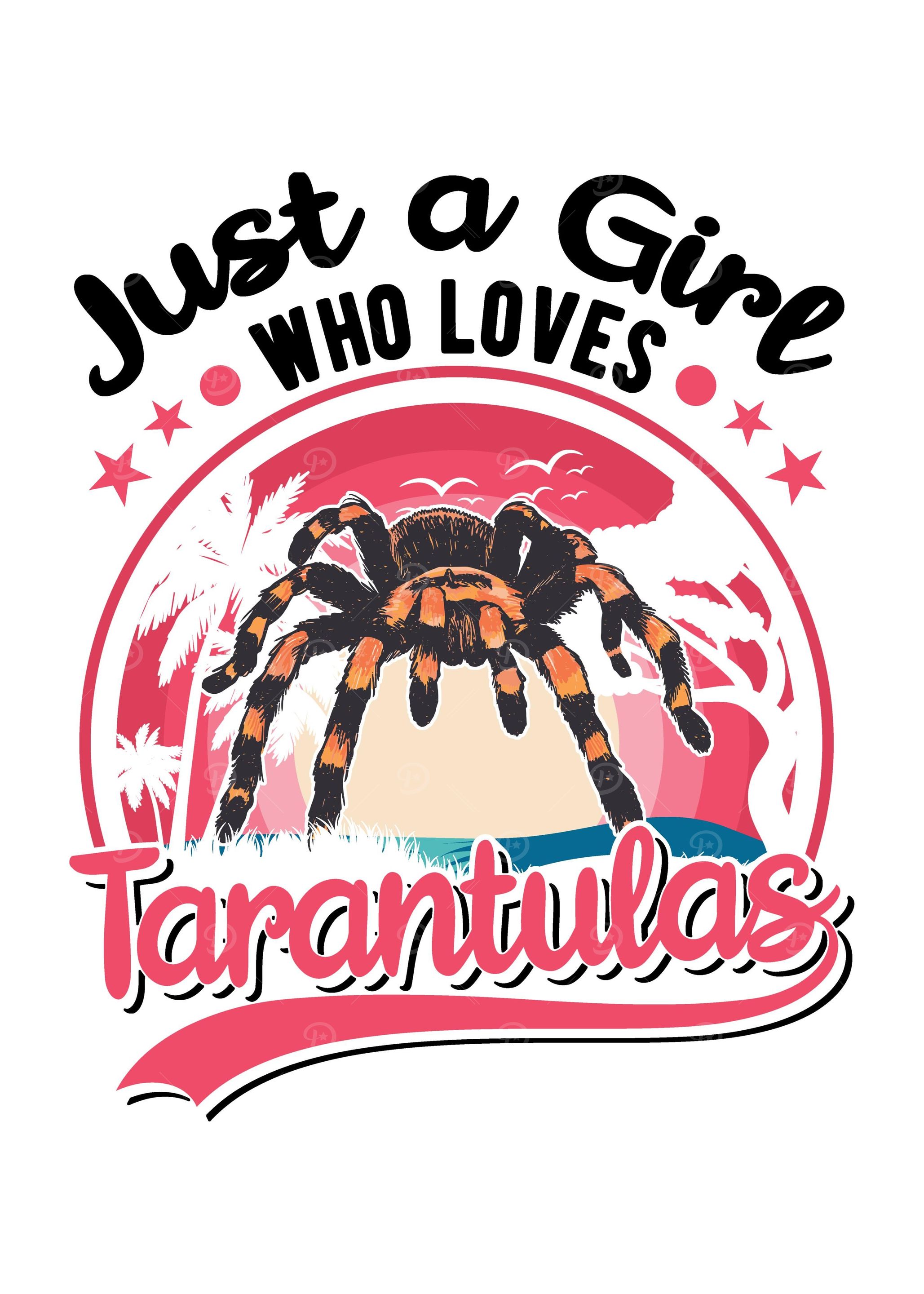 Tarantula Gift