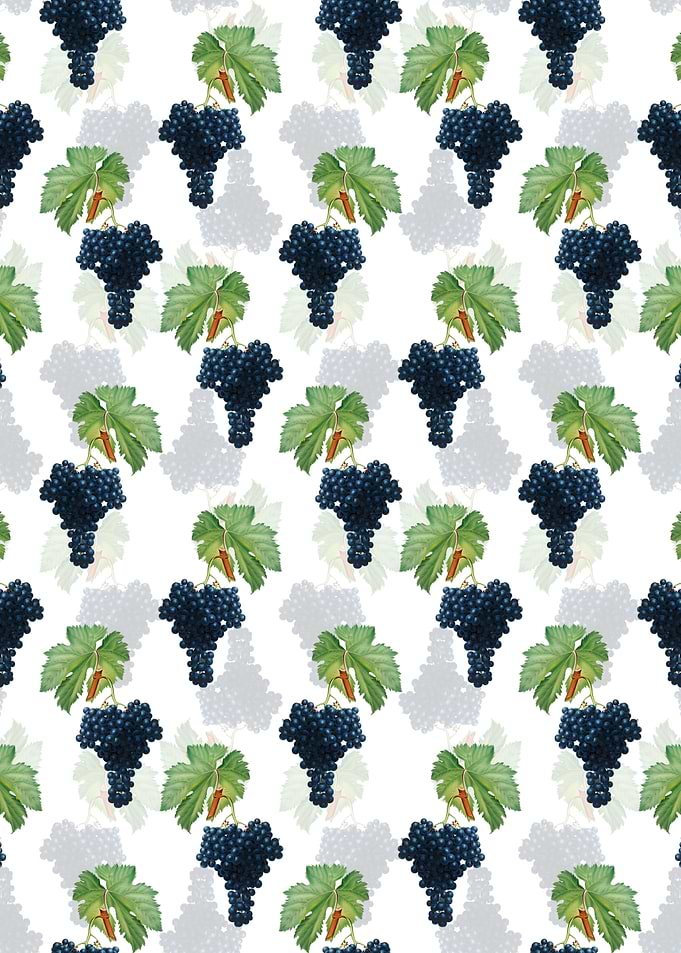 Fuella Grapes Pattern