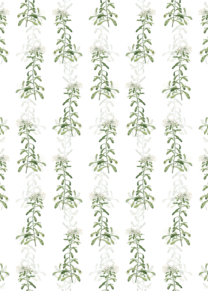 Floral Small White Pattern