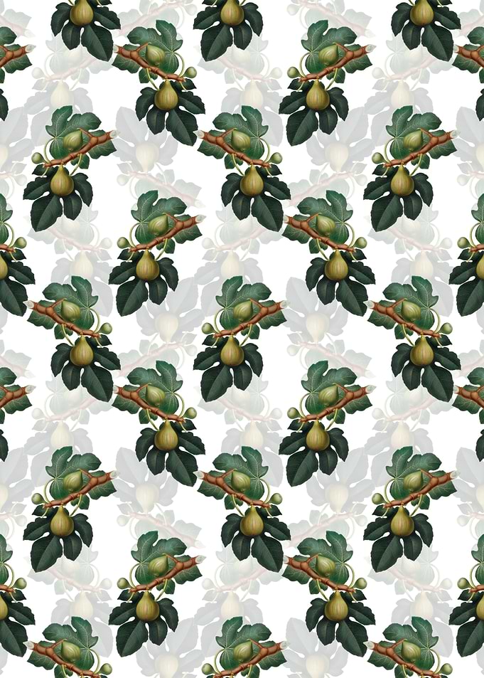 Vintage Floral Fig Pattern