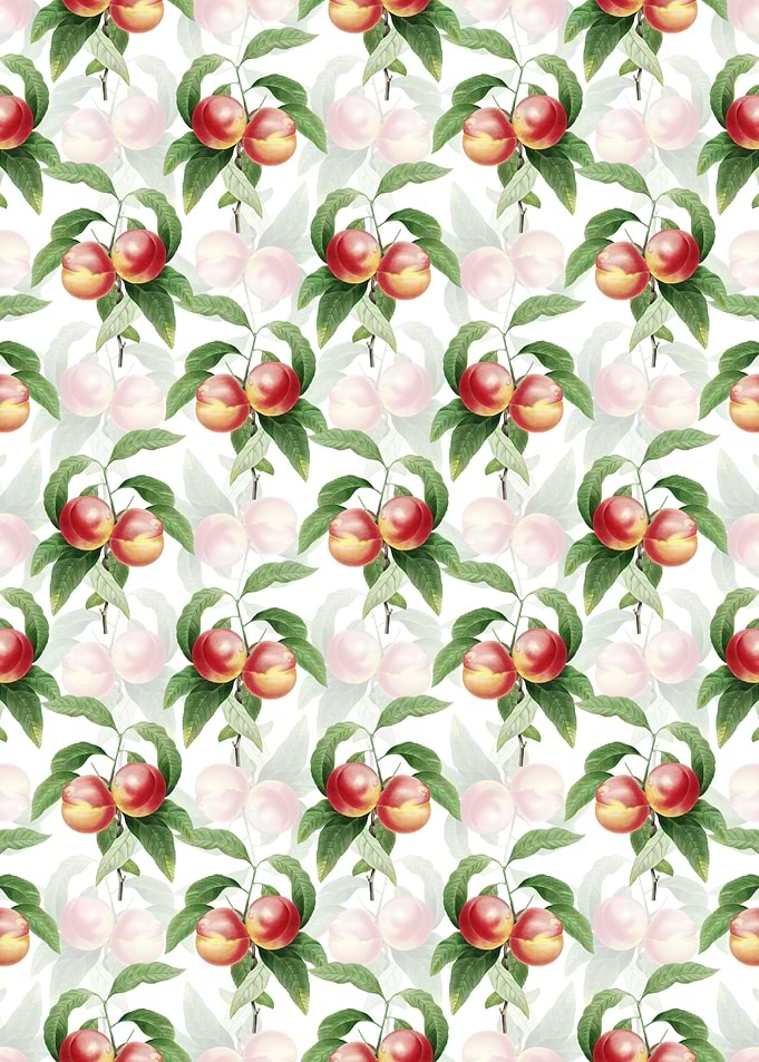 White Floral Peach Pattern
