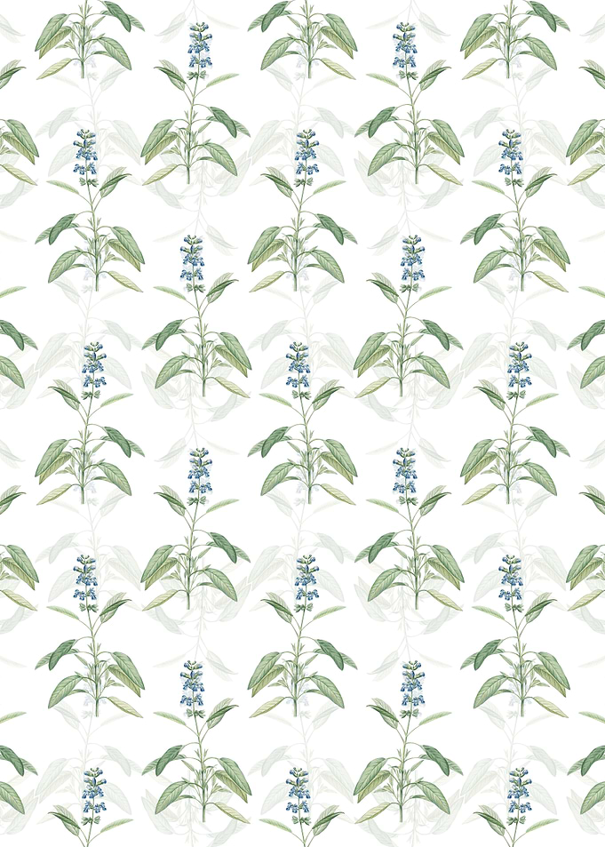 Floral Sage Plant Pattern