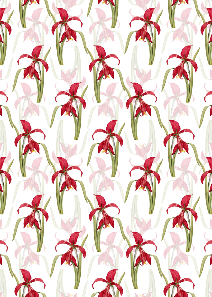 Floral Amaryllis Pattern