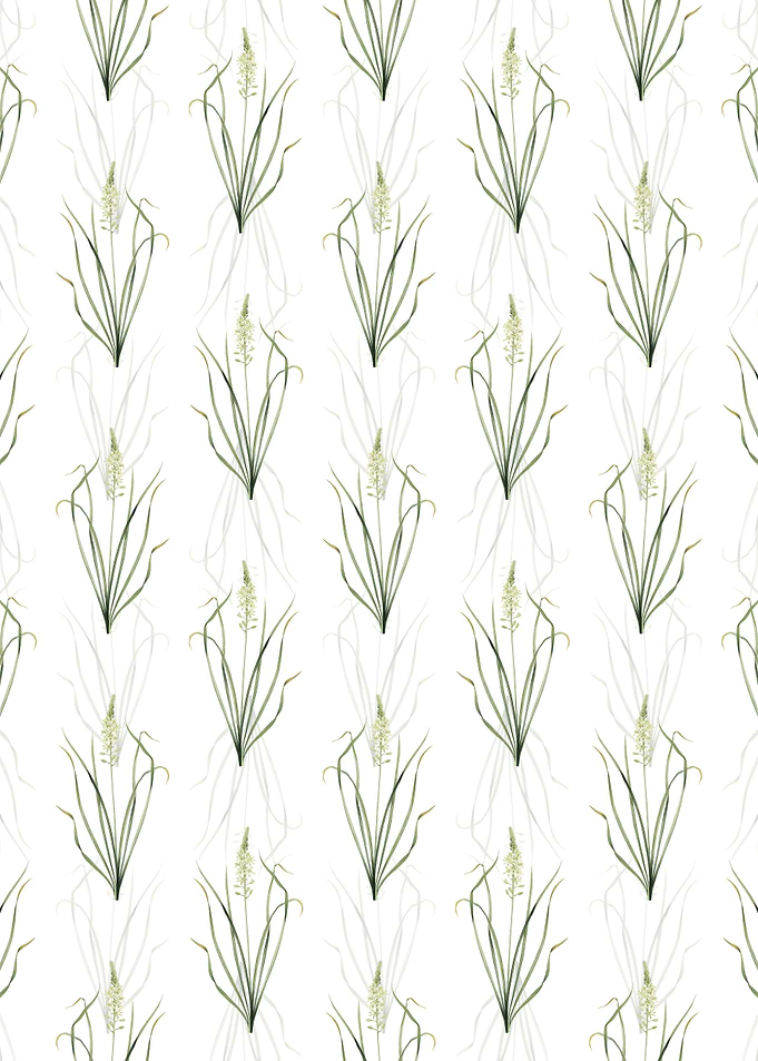Wild Asparagus Pattern