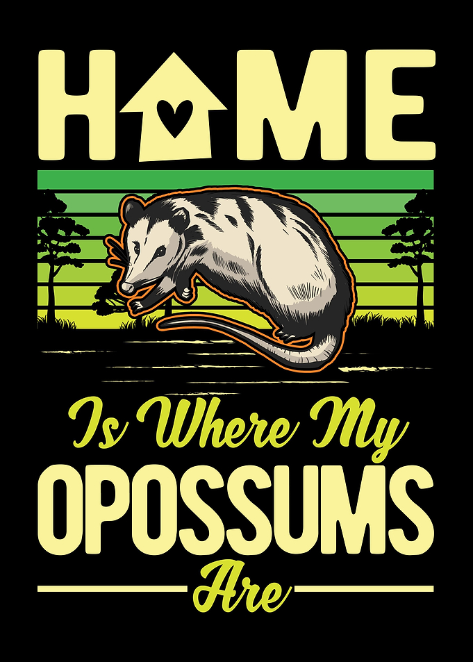 Opossum Lover Possum Gift