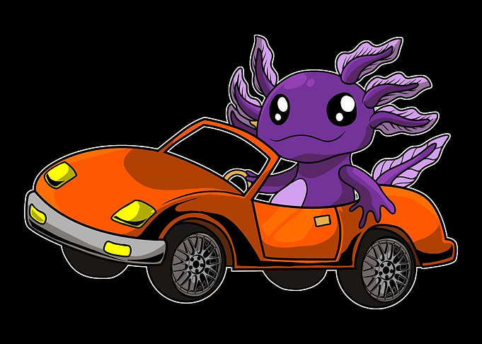 Axolotl Salamander