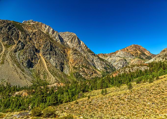 Tioga Pass Yosemite Park