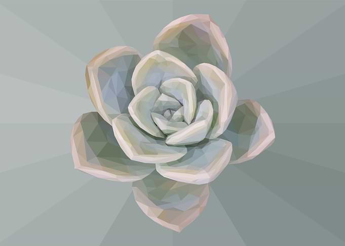 Low Poly Faded Succulent