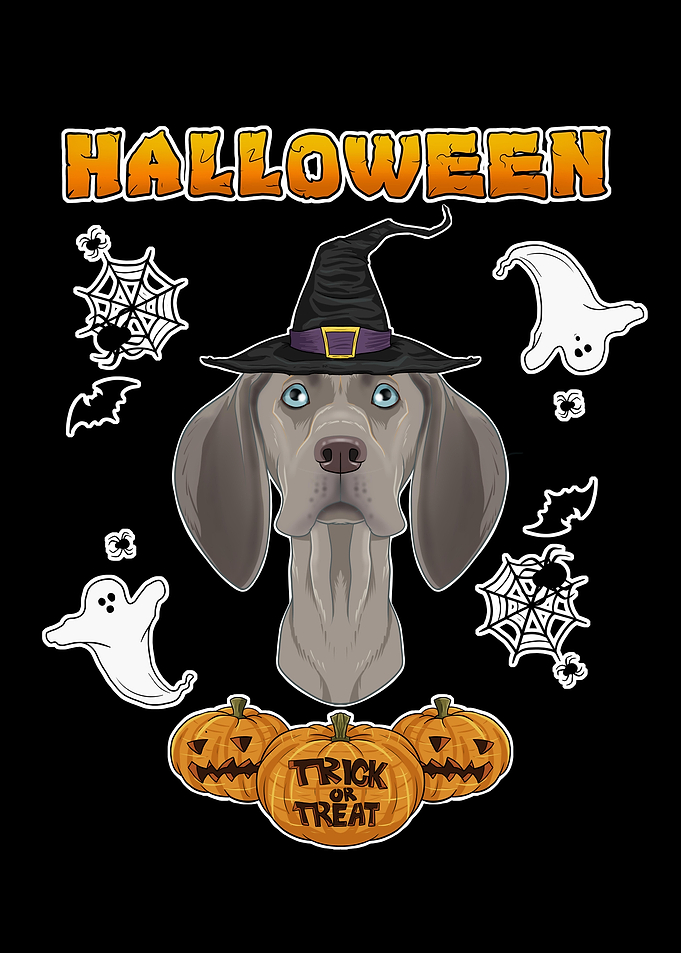 Happy Halloween Weimaraner