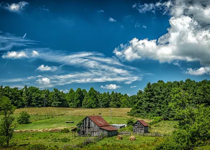 The Barn