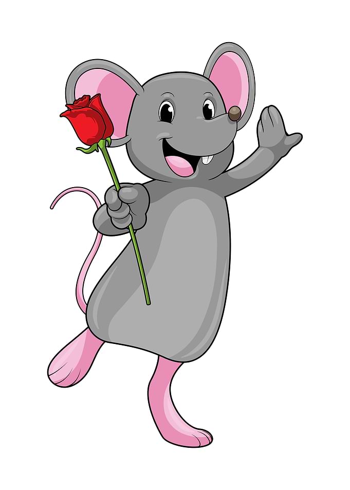 Rat Flower Rose
