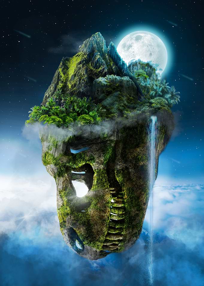 T Rex Skull Fantasy Island