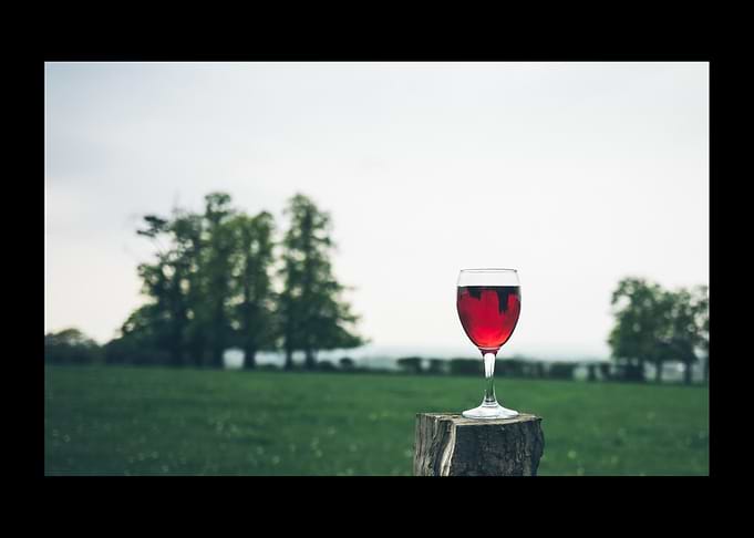 Wine Alcohol