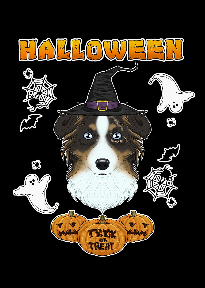 Australian Shepherd