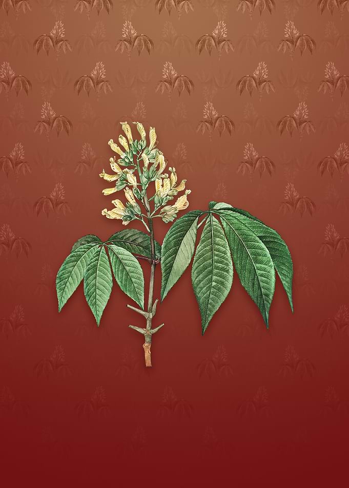 Vintage Yellow Buckeye
