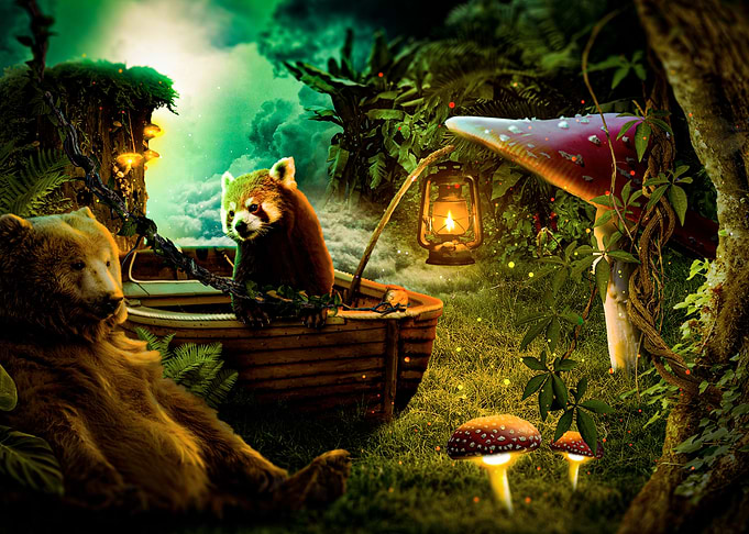 journey in the forest