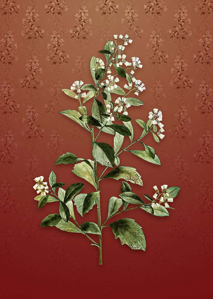 Vintage Eastern Baccharis
