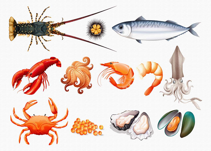 Set of fresh seafood