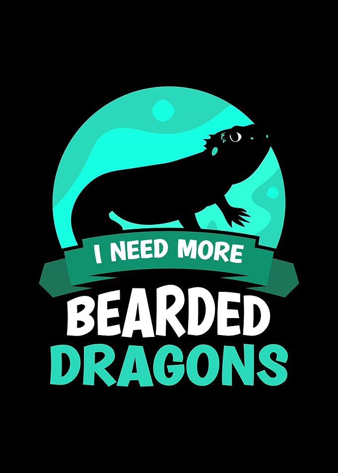 Bearded Dragon