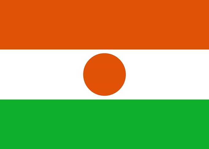 Niger Flag