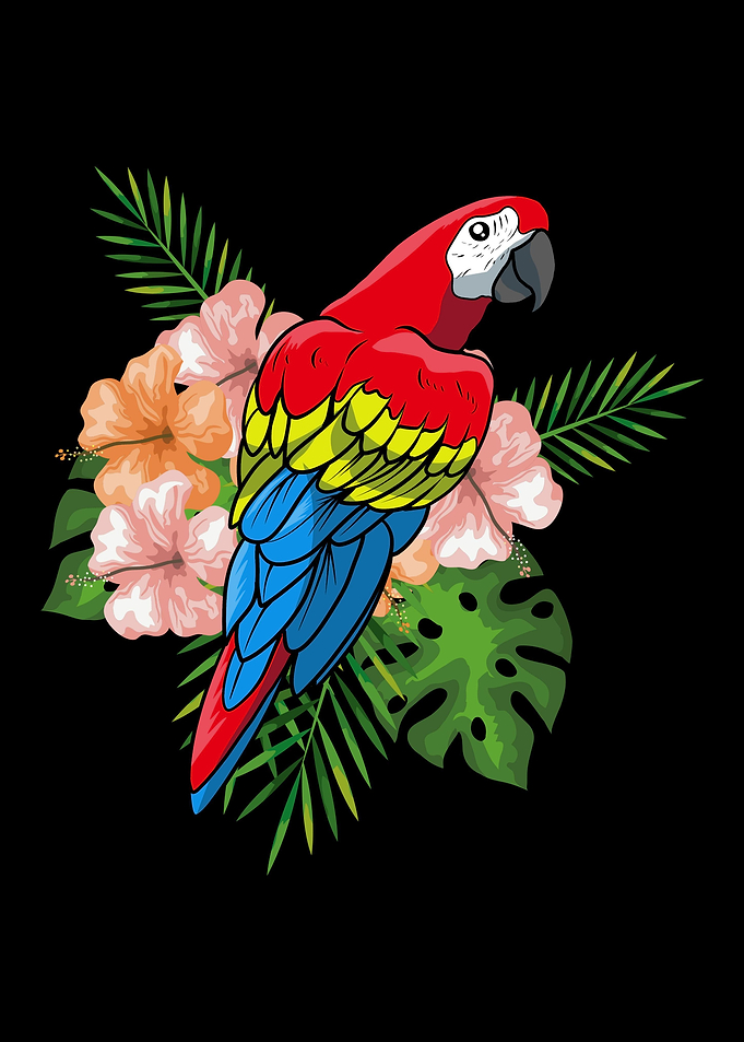 Parrot