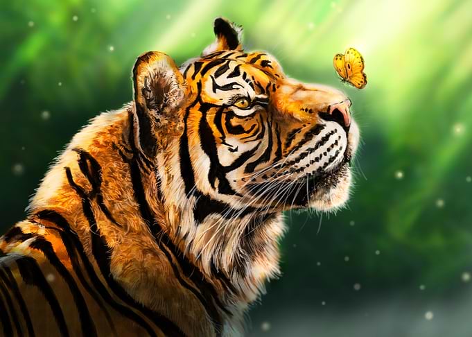 Tiger with Butterfly