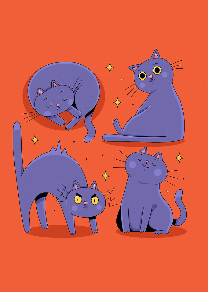 Halloween Cat