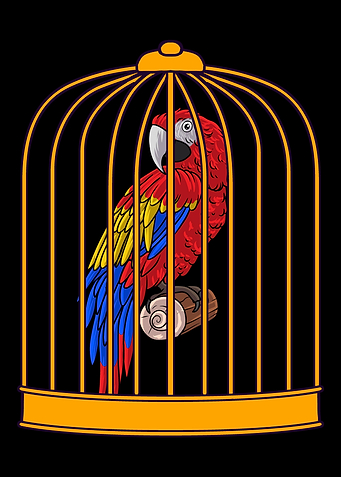 Parrot