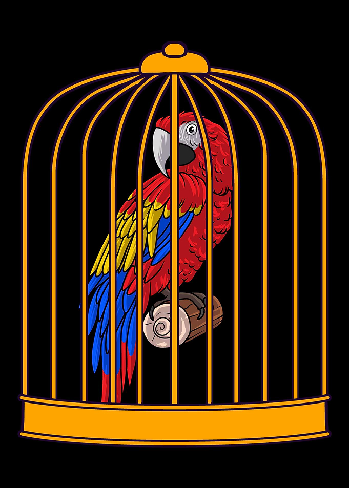 Parrot