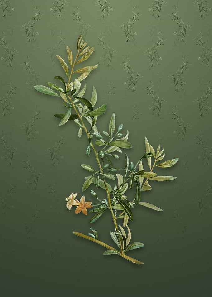 Goji Berry on Lunar Green