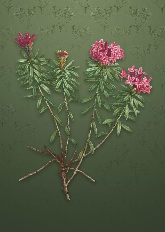 Vintage Garland Flowers