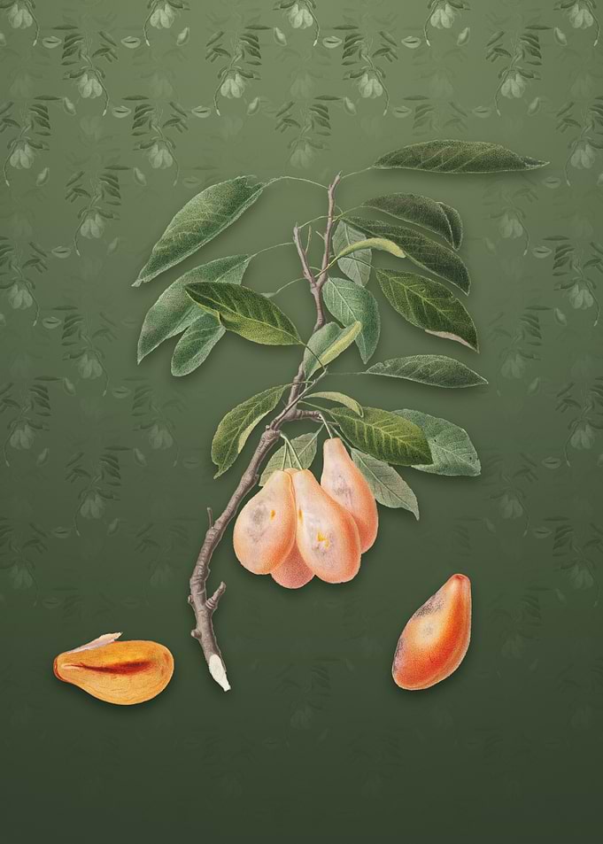 Plum on Lunar Green
