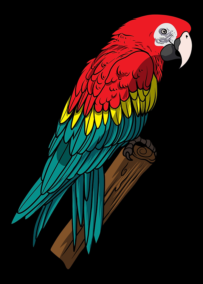 Parrot