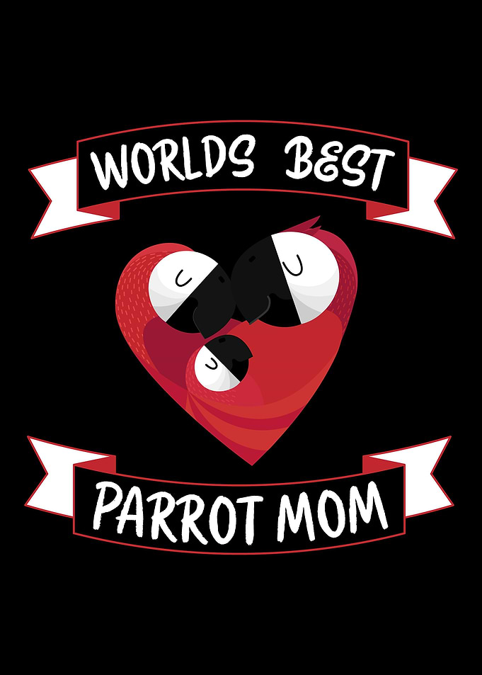 Parrot