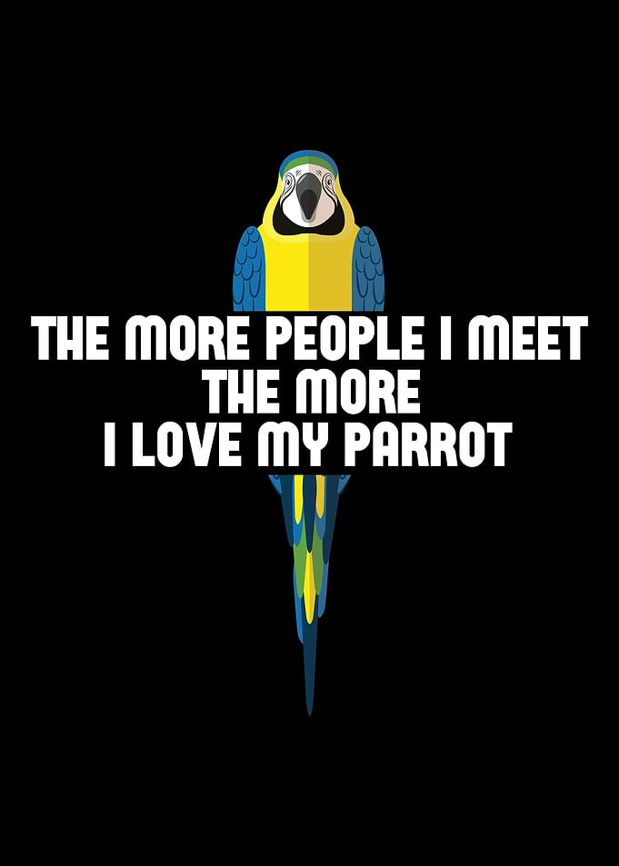 Parrot