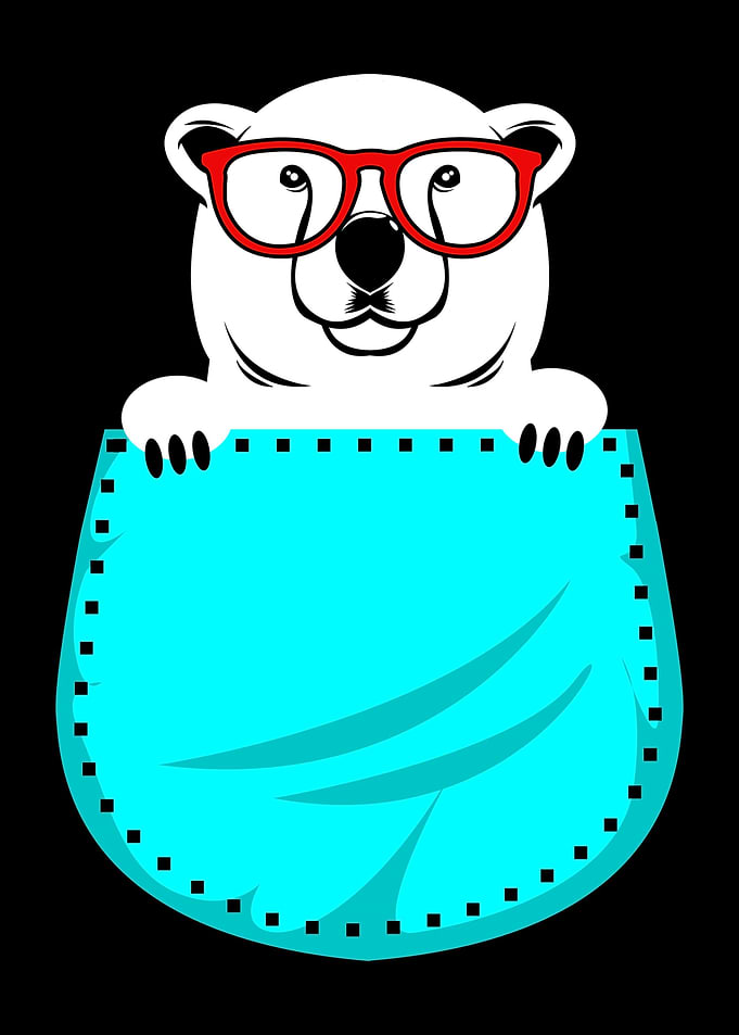 Polar Bear Pocket Bear