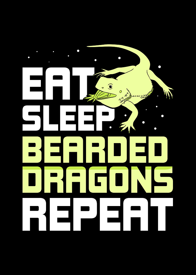 Bearded Dragon