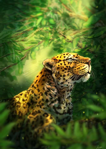 Hope the Leopard