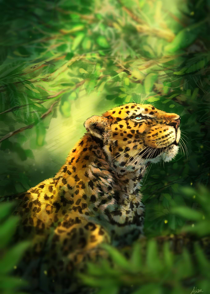 Hope the Leopard