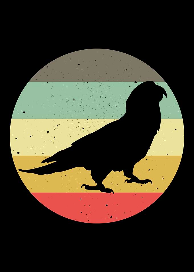 Retro Parrots Vintage