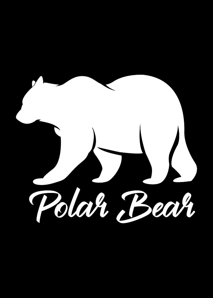 Polar Bear White Bear