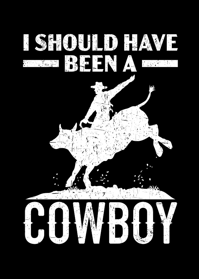 Rodeo Bull Rider