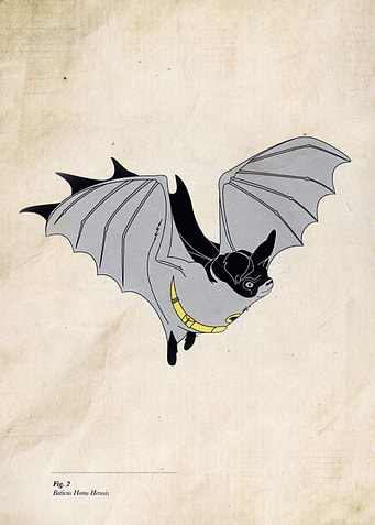 Baticus Homo Herosis