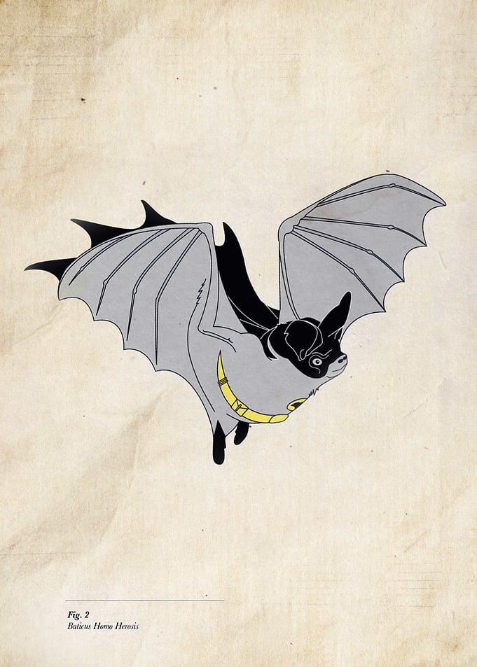 Baticus Homo Herosis